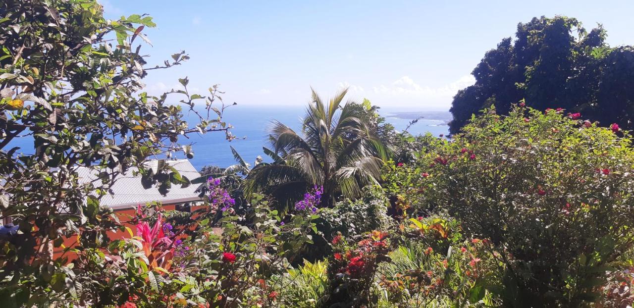 "Sunrise Inn" Nature Island Dominica Penville Exterior photo