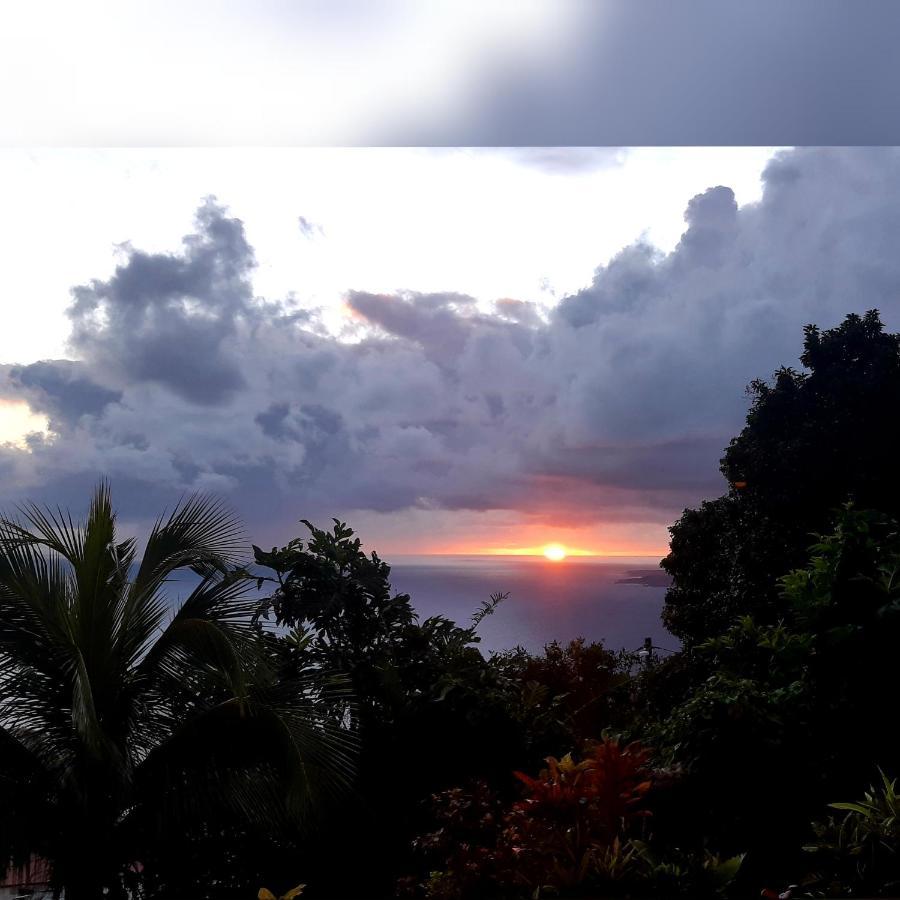 "Sunrise Inn" Nature Island Dominica Penville Exterior photo